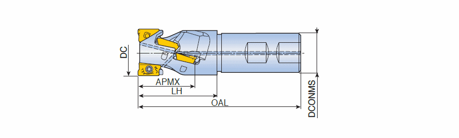 ‎TEF D25-34-W25-AP12